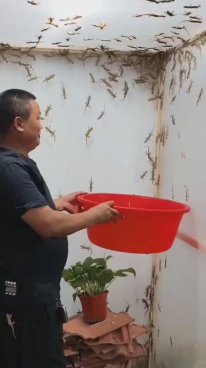 Lizard Repellent for Home Spray Pest Control 250ML